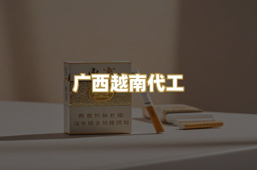 广西越南代工